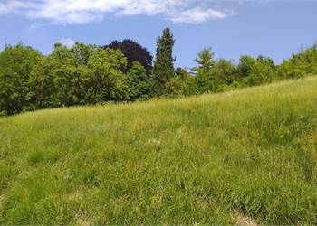 AMPIO CASALE CON PARCO IN POSIZIONE COLLINARE